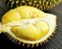 榴莲的热量是多少？